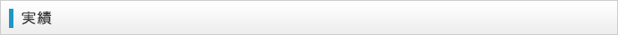 実績